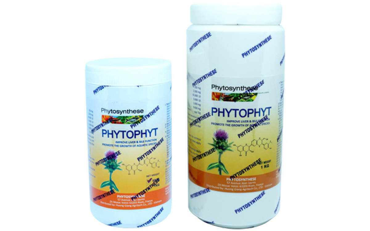 PHYTOPHYT